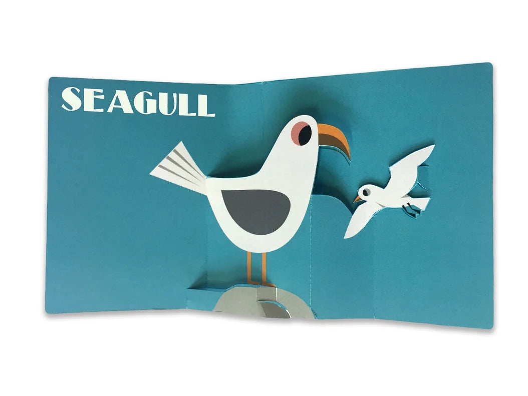 Pop-up Ocean US - Hardback