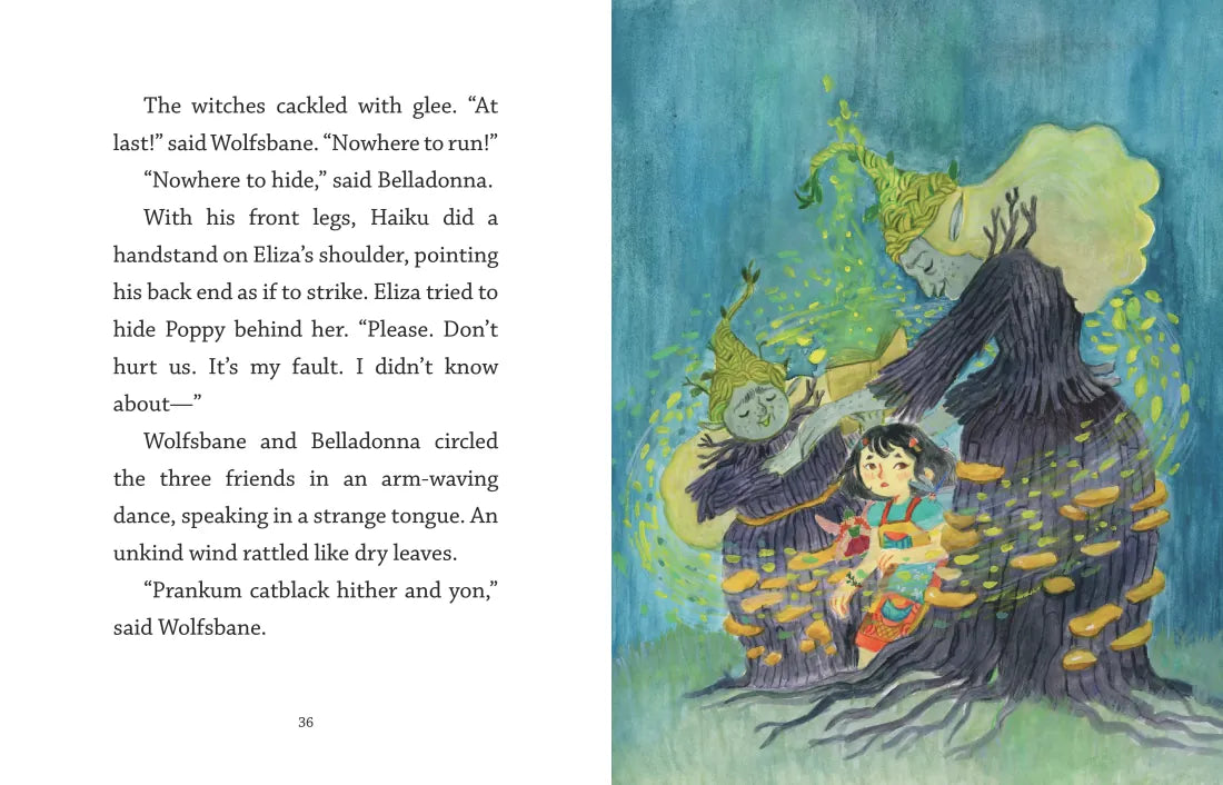 Fairy Door Diaries: Eliza and the Flower Fairies US - Hardback