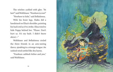 Fairy Door Diaries: Eliza and the Flower Fairies US - Hardback
