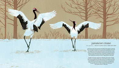 Magnificent Birds US - Hardback