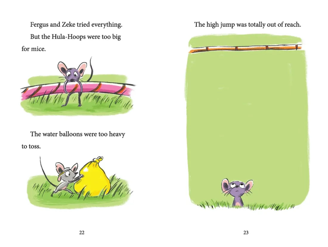 Fergus and Zeke and the Field Day Challenge US - Hardback