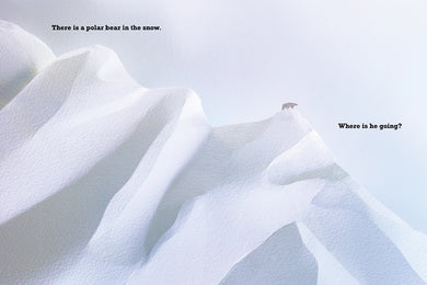 A Polar Bear in the Snow US - Hardback