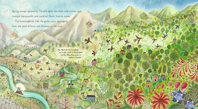 Hummingbird US - Hardback