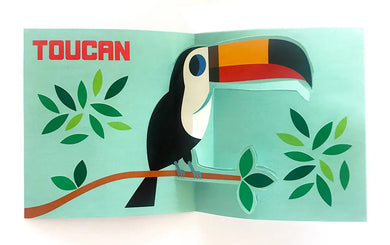 Pop-up Jungle US - Hardback