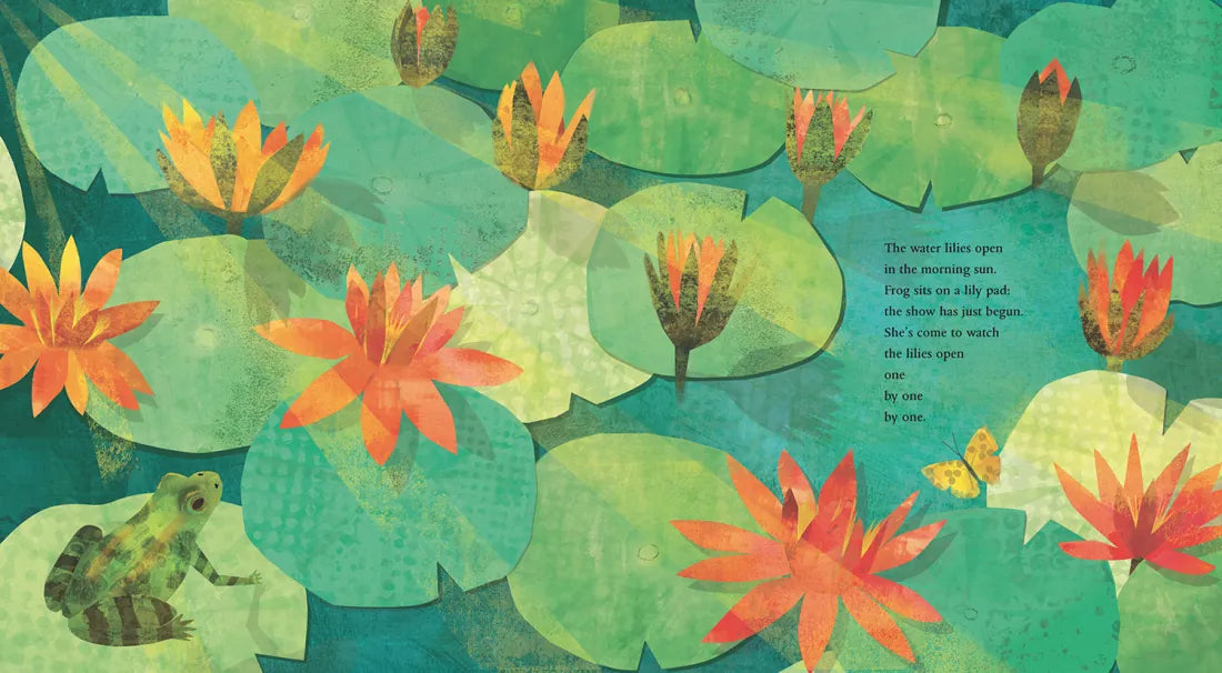 At the Pond US - Hardback