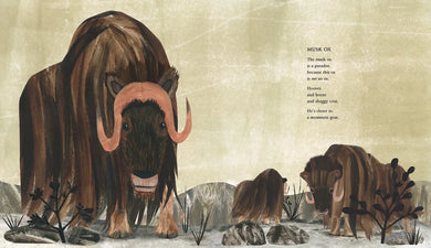 At the Poles US - Hardback