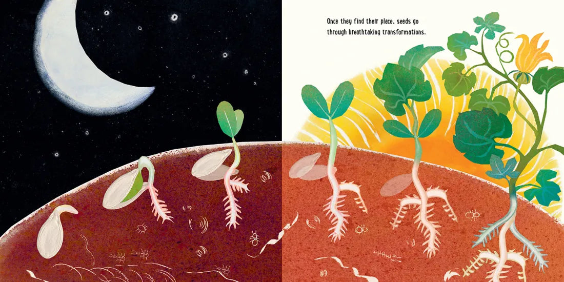 Seeds US - Hardback