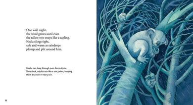 Koala US - Paperback / softback