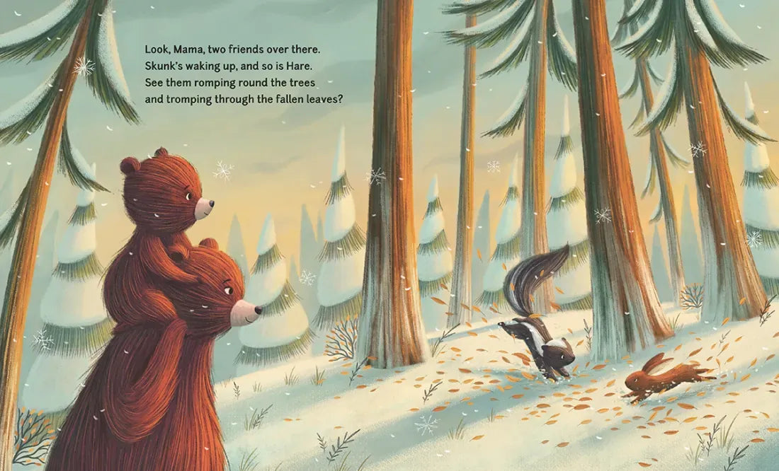 Winter Lullaby US - Hardback