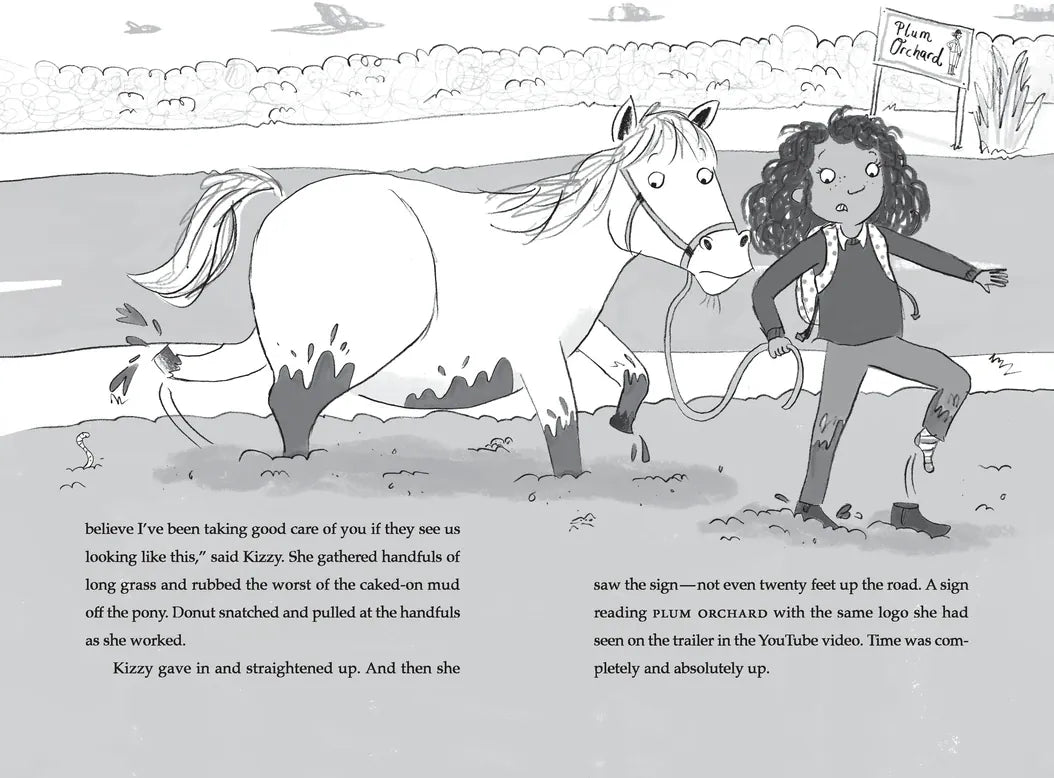 Pony on the Twelfth Floor US - Hardback