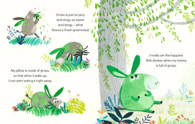 Little Green Donkey US - Hardback