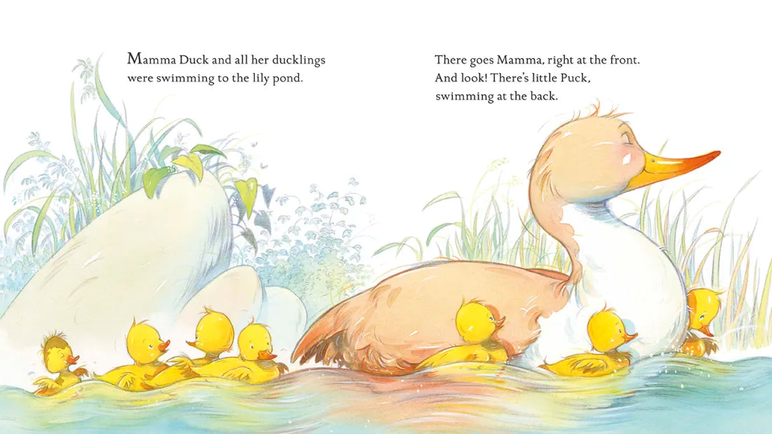 Keep Up, Duck! US - Hardback