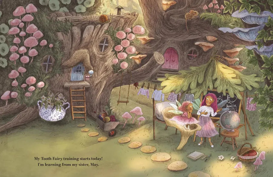 Tooth Fairy in Training US - Hardback