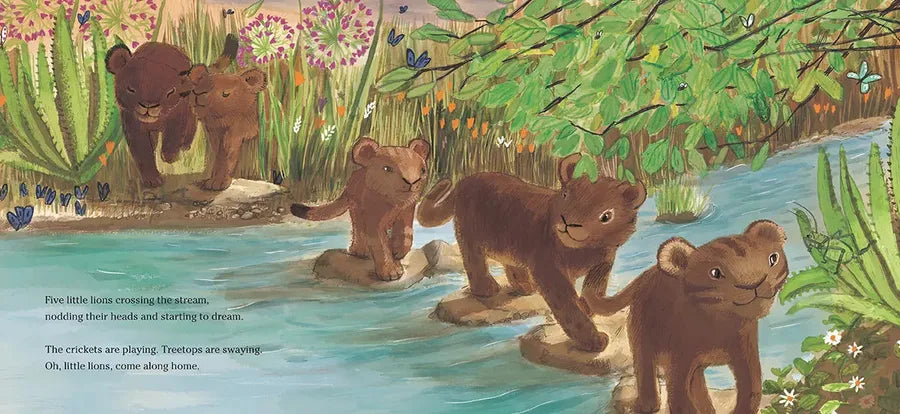 Lion Lullaby US - Hardback