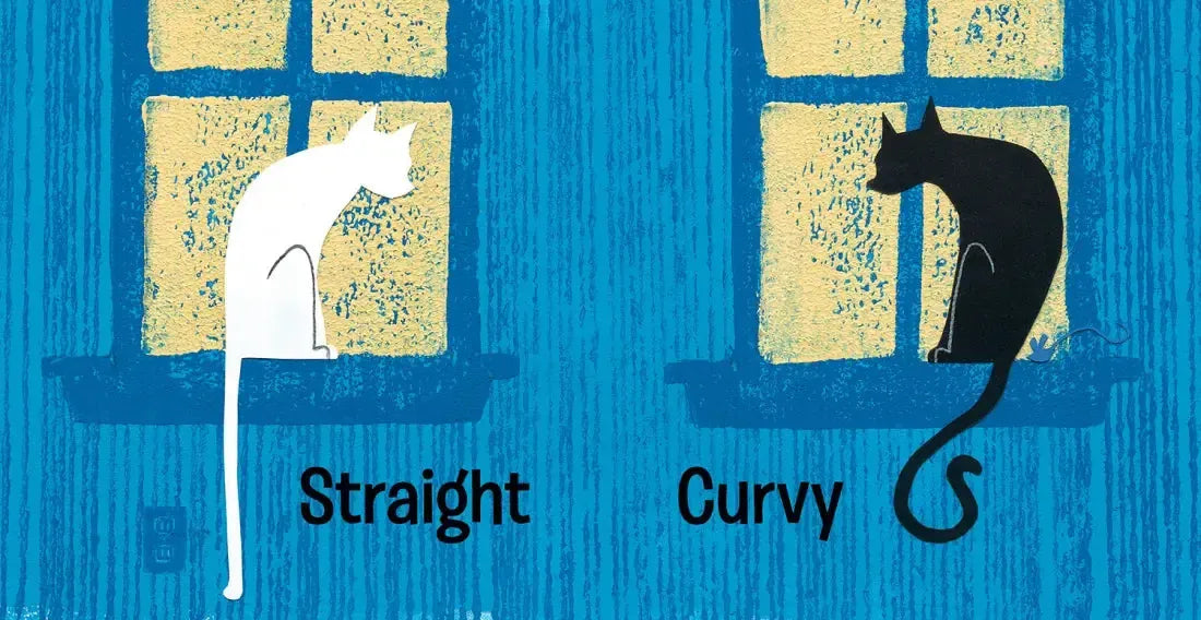 Up Cat Down Cat US - Board book