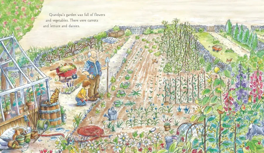 Sweet Pea Summer US - Hardback