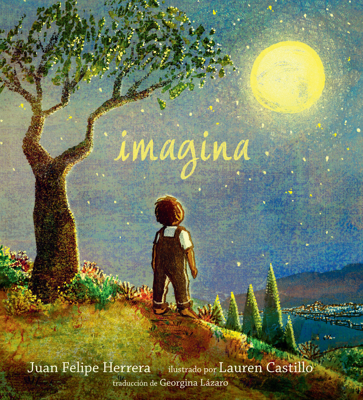 Imagina cover (ISBN 9781536211702)