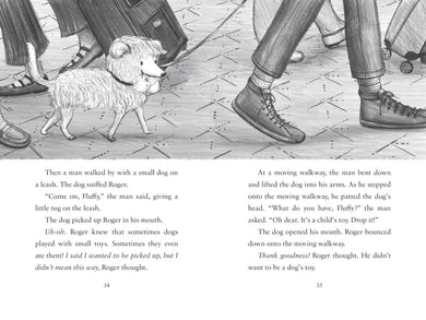 Book Buddies: Roger Takes a Chance US - Hardback
