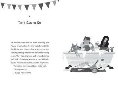 McTavish Takes the Cake US - Hardback