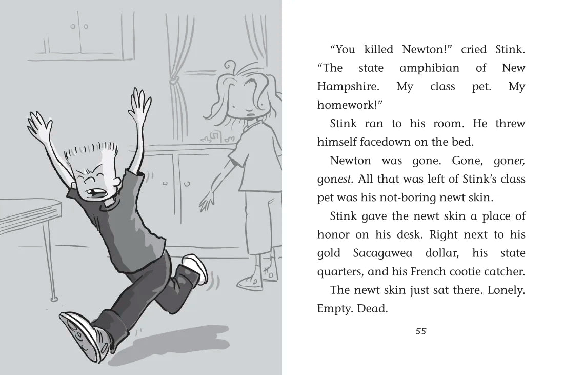 Stink US - Paperback / softback
