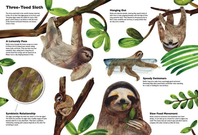 Masters of Disguise: Camouflaging Creatures & Magnificent Mimics US - Hardback