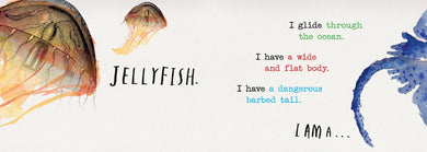 Heads and Tails: Underwater US - Hardback