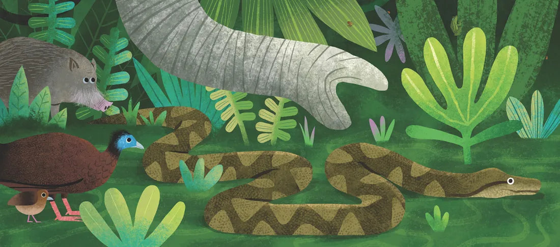 The Sun Shines on the Jungle US - Board book