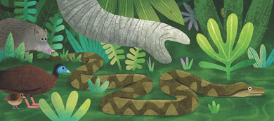 The Sun Shines on the Jungle US - Board book