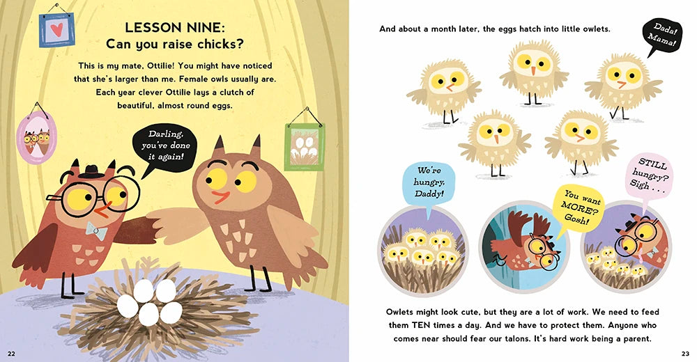 So You Want to Be an Owl US - Hardback