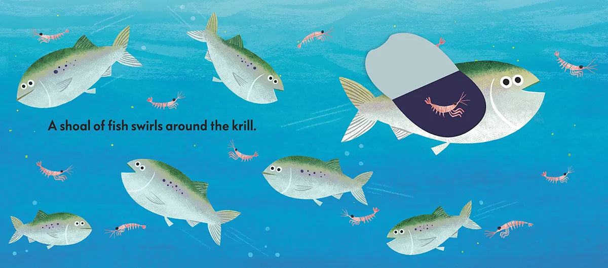 The Sun Shines on the Sea US - Board book
