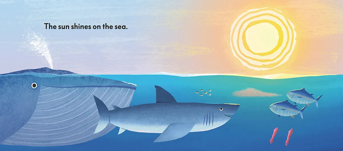 The Sun Shines on the Sea US - Board book