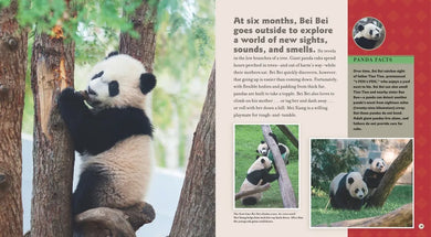 Bei Bei Goes Home: A Panda Story US - Hardback