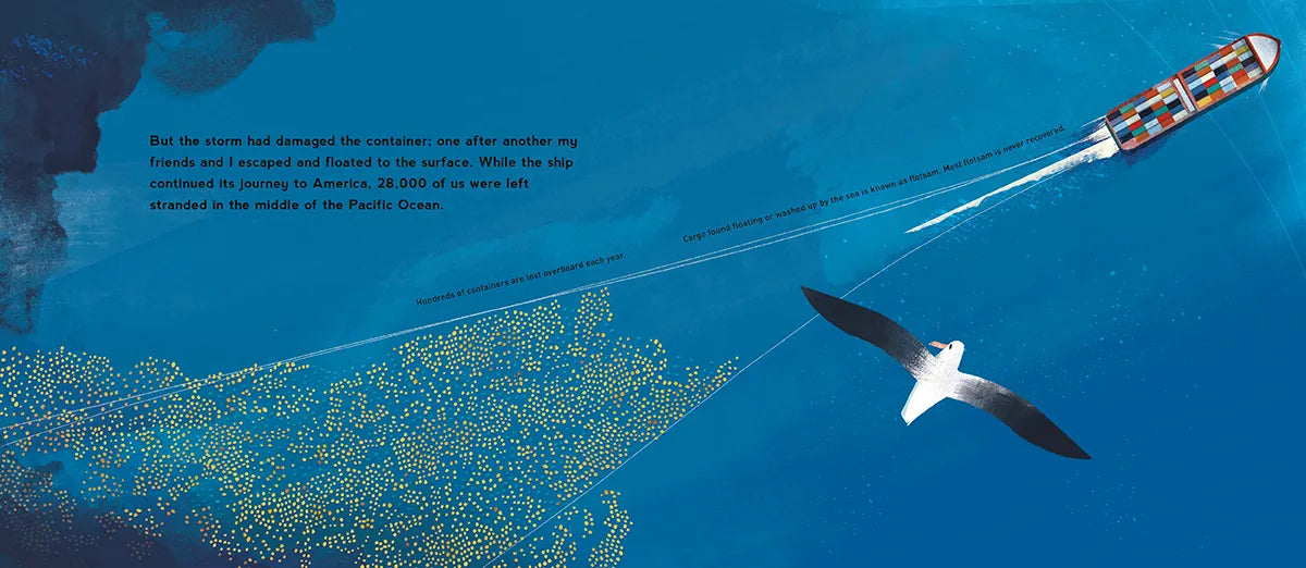 Ducks Overboard!: A True Story of Plastic in Our Oceans US - Hardback
