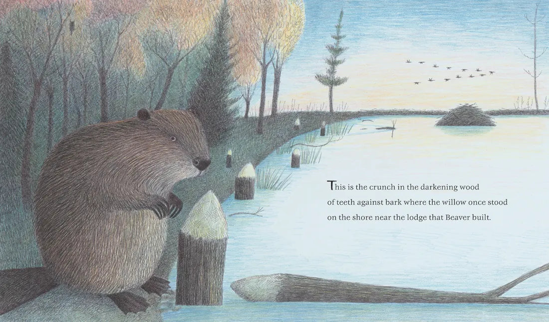 The Lodge That Beaver Built US - Hardback