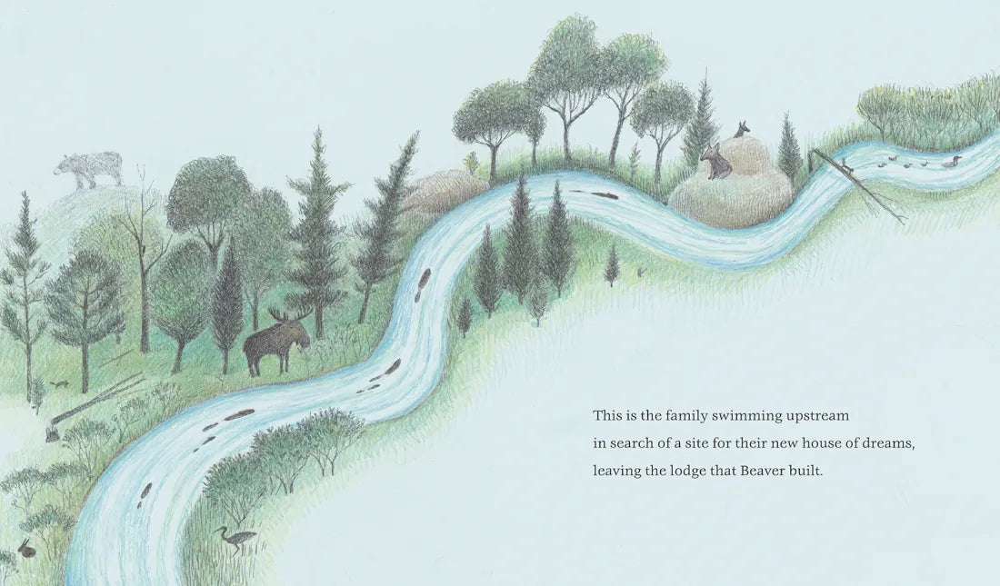 The Lodge That Beaver Built US - Hardback