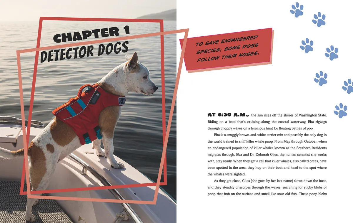 Detector Dogs, Dynamite Dolphins, and More Animals with Super Sensory Powers US - Hardback