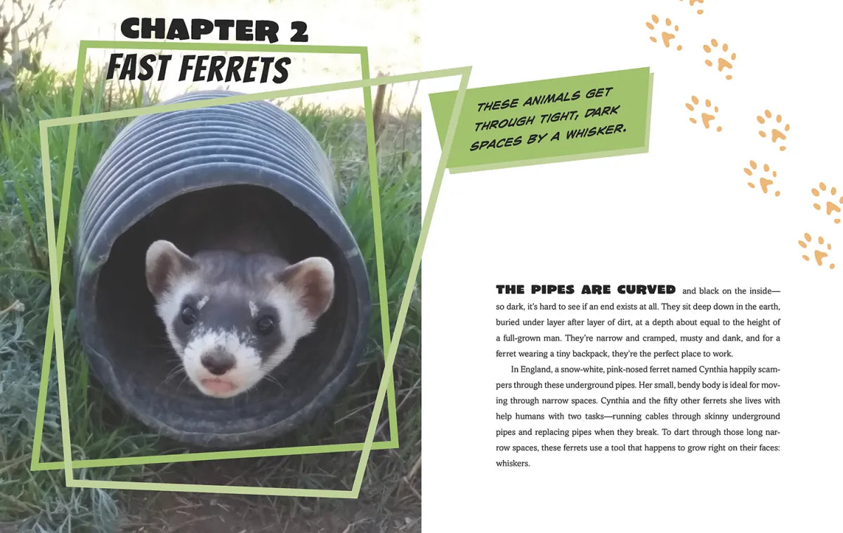 Detector Dogs, Dynamite Dolphins, and More Animals with Super Sensory Powers US - Hardback