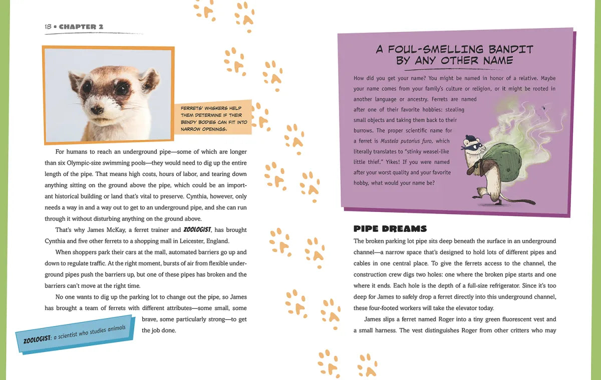 Detector Dogs, Dynamite Dolphins, and More Animals with Super Sensory Powers US - Hardback