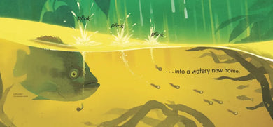 One Tiny Treefrog: A Countdown to Survival US - Hardback