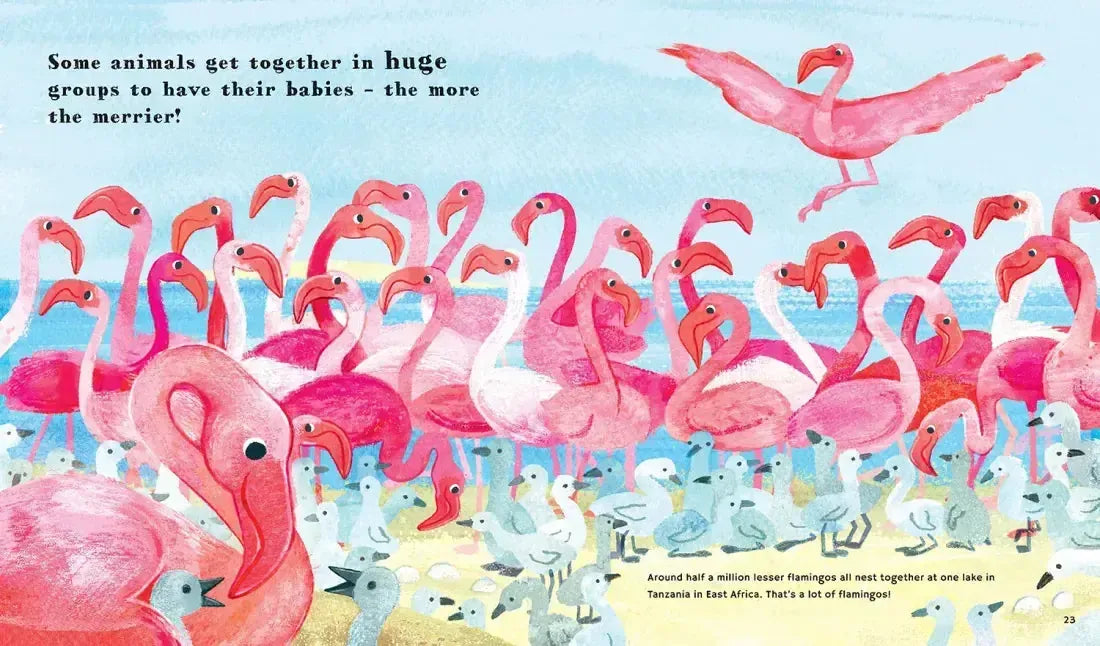 Find Out About Animal Babies US - Hardback
