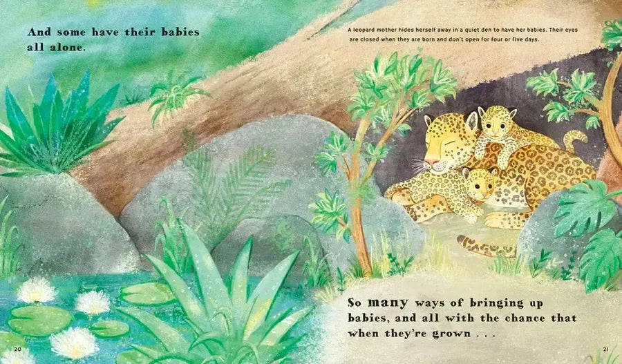 Find Out About Animal Babies US - Hardback