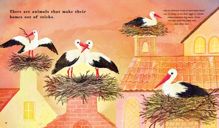 Find Out About Animal Homes US - Hardback