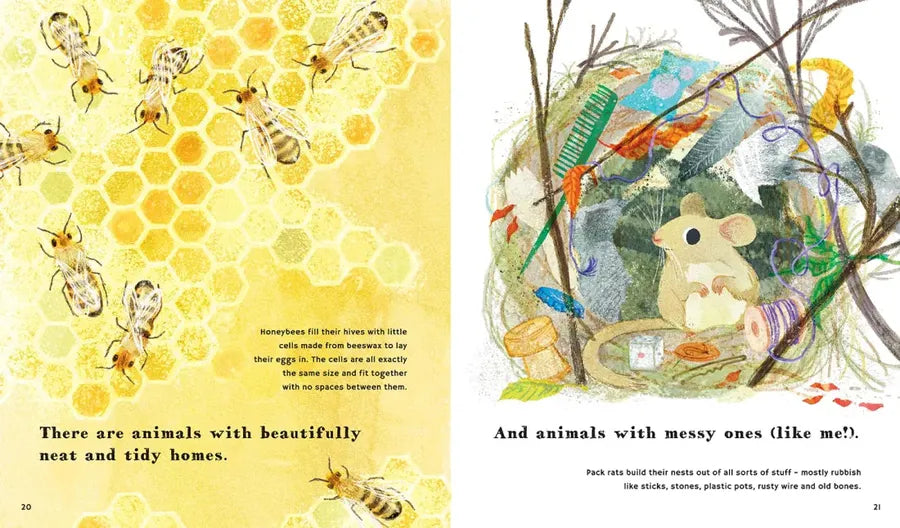 Find Out About Animal Homes US - Hardback