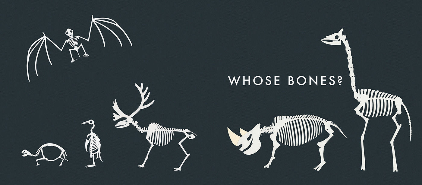 Whose Bones Are Those? US - Hardback