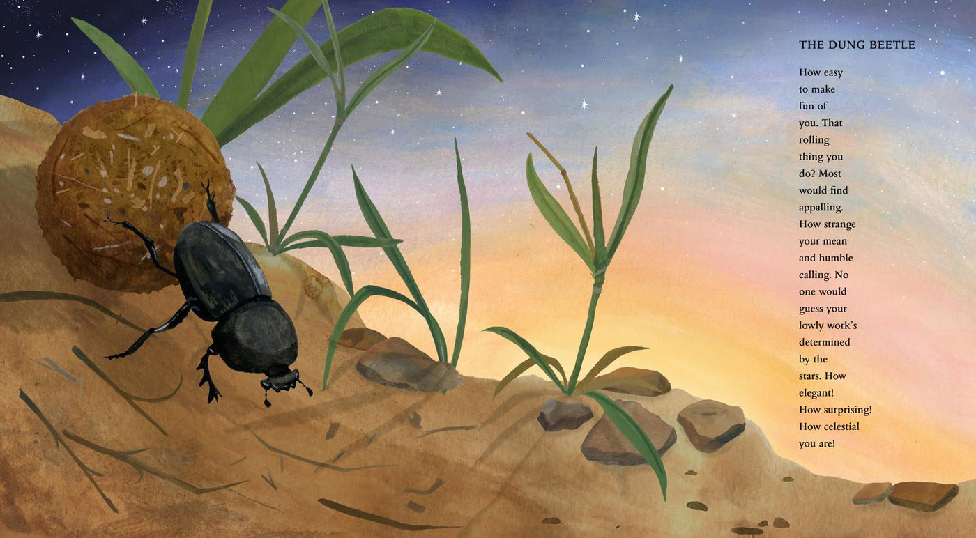 In the Desert US - Hardback