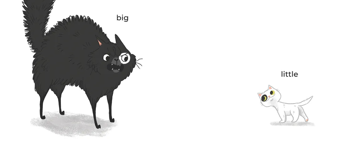Kitty and Cat: Opposites Attract US - Hardback