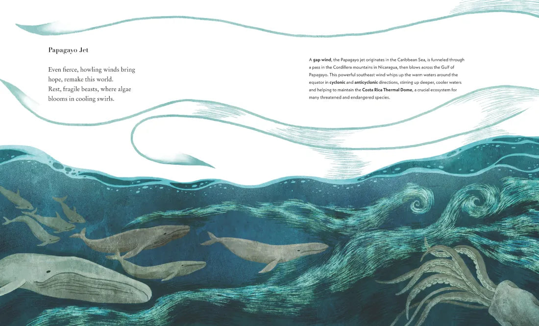 Great Gusts: Winds of the World and the Science Behind Them US - Hardback