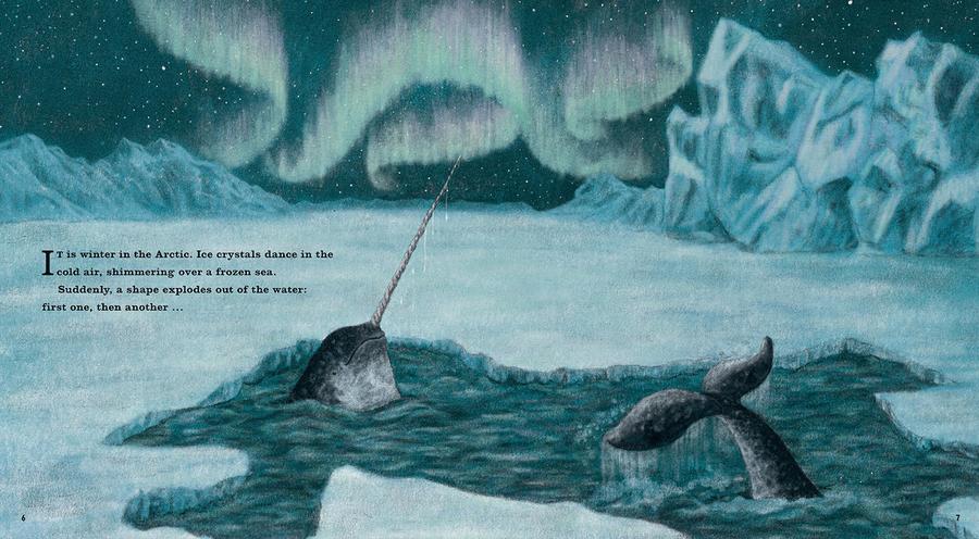 Narwhal: The Arctic Unicorn US - Hardback