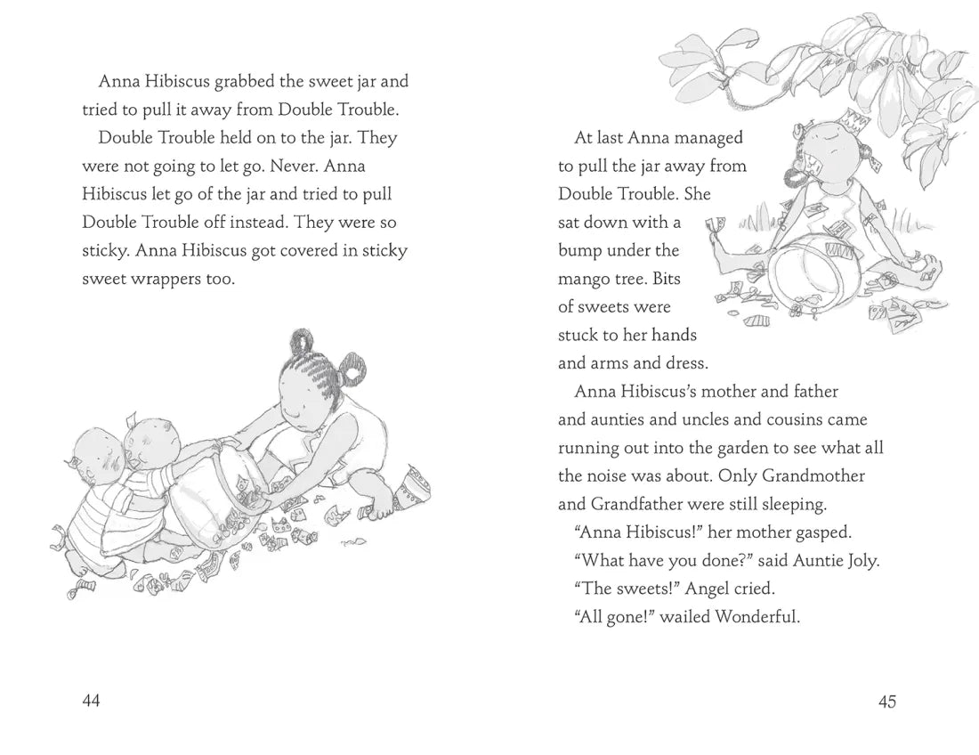 Good Luck, Anna Hibiscus! US - Hardback