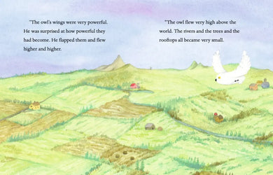 Orris and Timble: Lost and Found US - Hardback